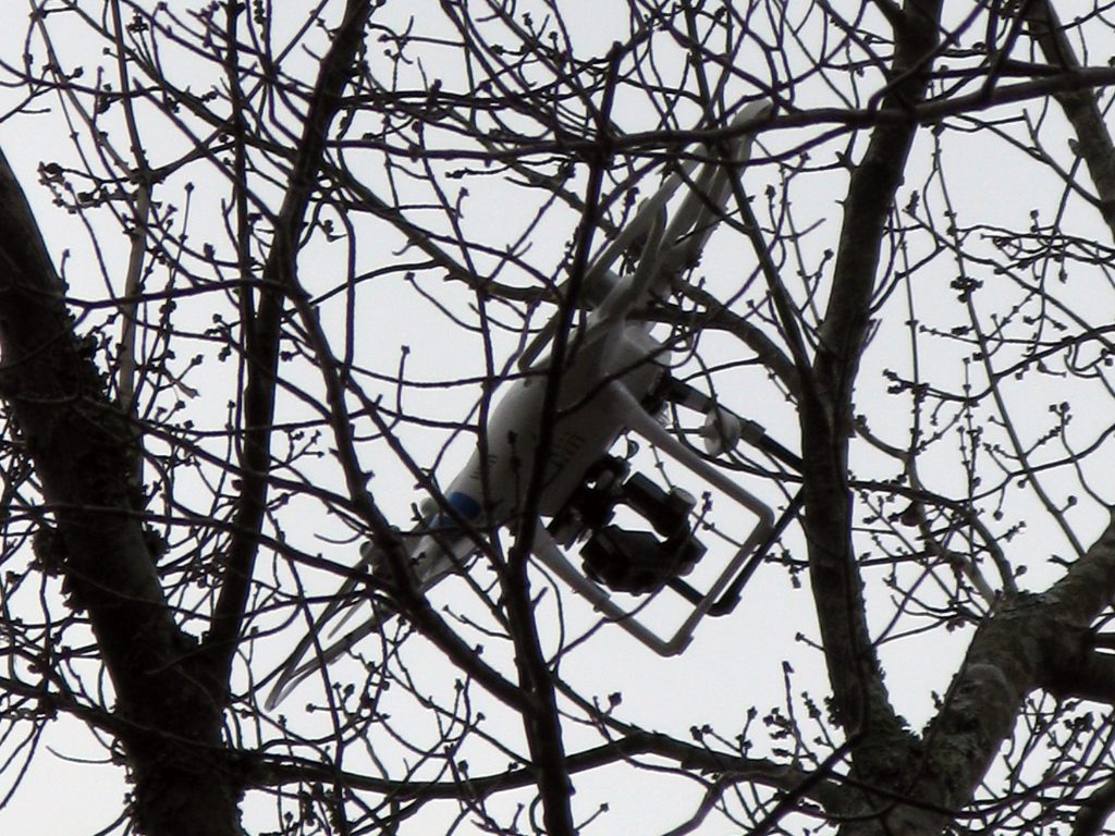 aerial-drone-stuck-in-tree_2-e1451453490906